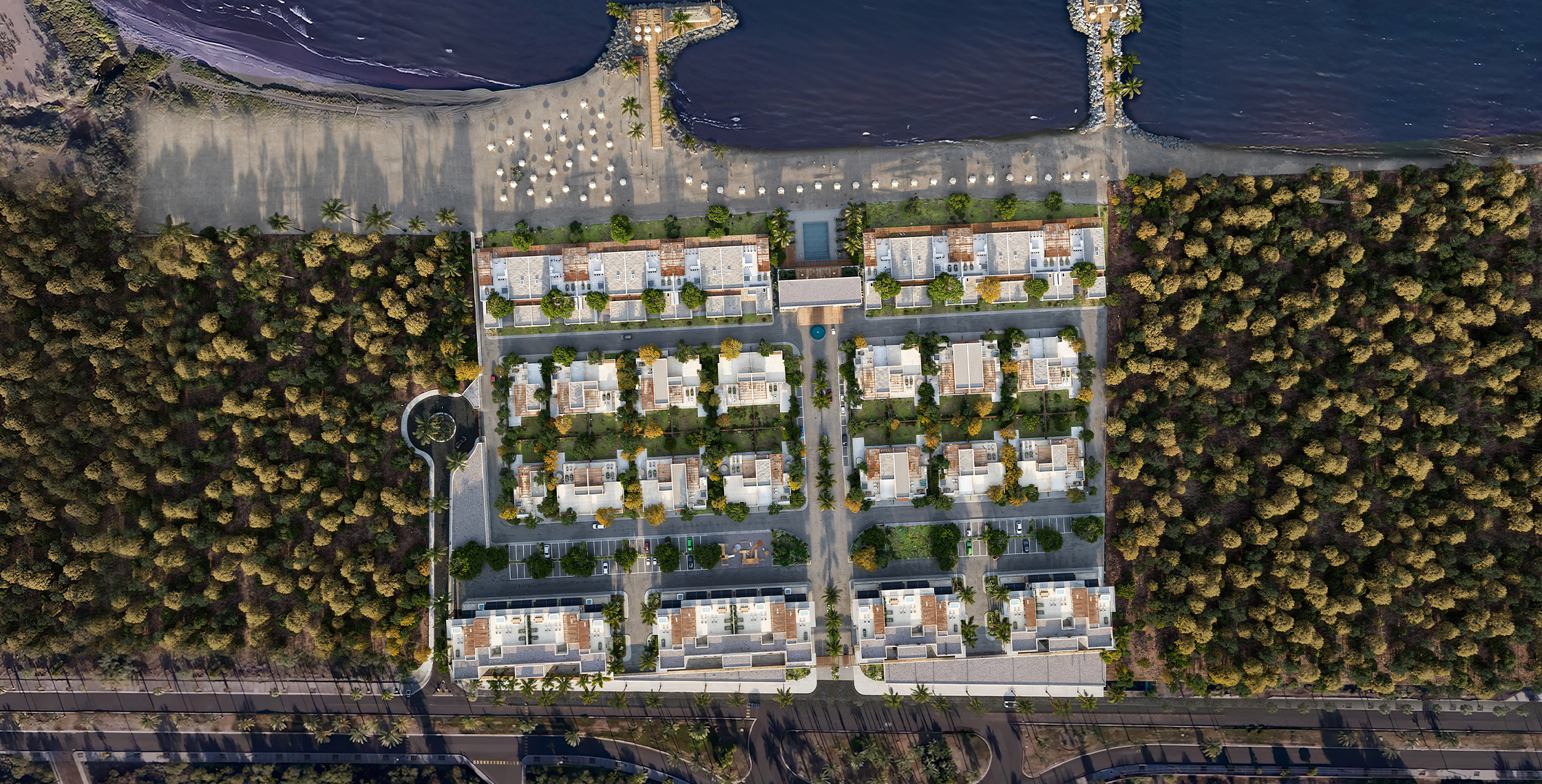 Alta Baja Beachfront Living Reimagined